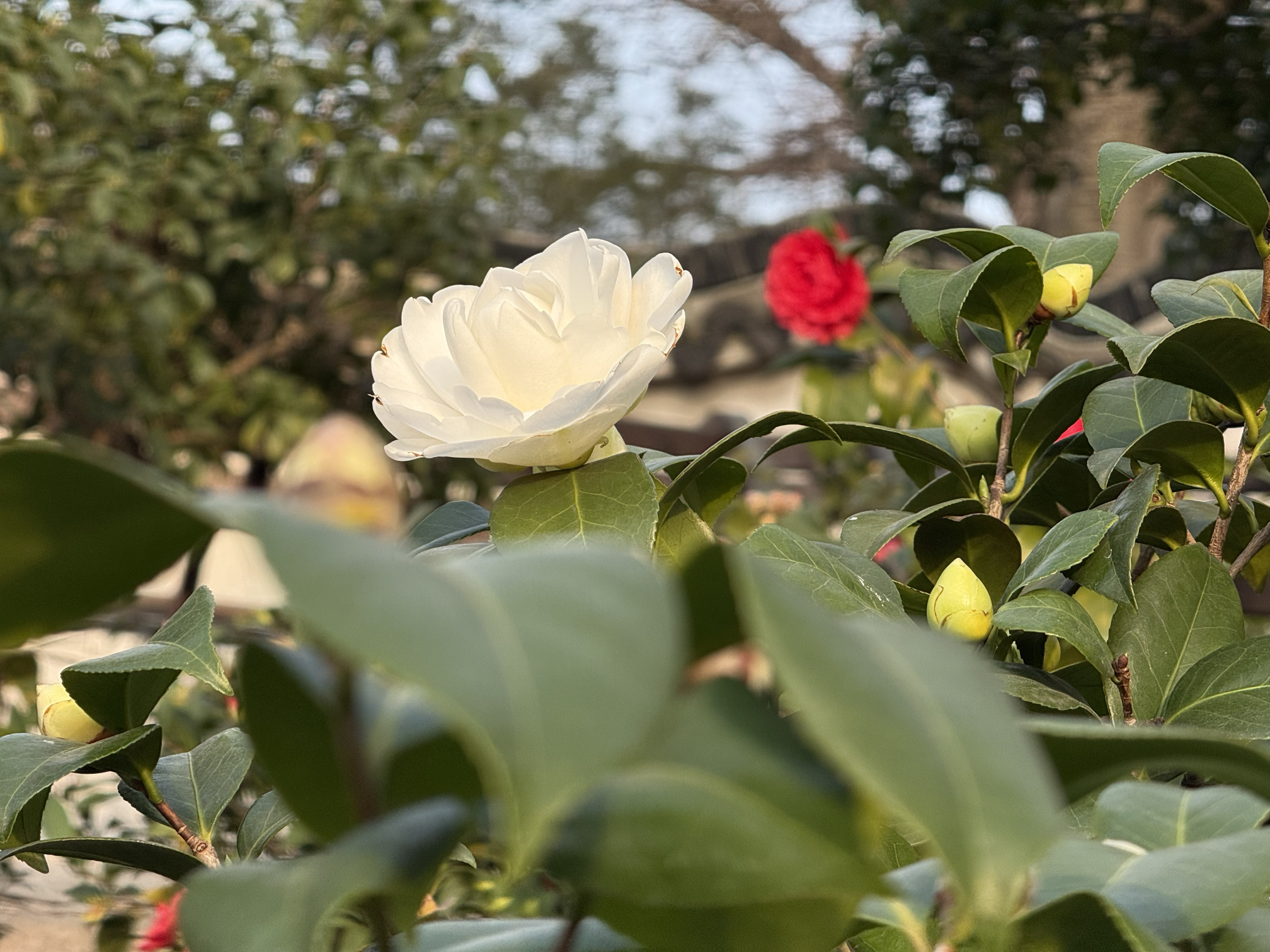 IMG_4777.png